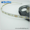 3014 Cct Variant et Dimmable LED Strip Lighting